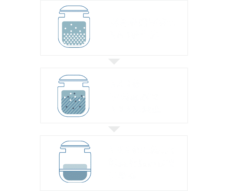 酵母を発酵させNADを酵素反応でNMNに変換NMNを精製して純度を限界まで高める