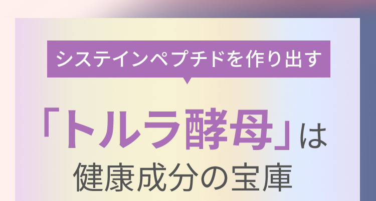 システインペプチドを作り出す「トルラ酵母」は健康成分の宝庫