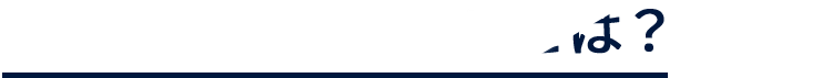 NMN佐伯モデルとは？