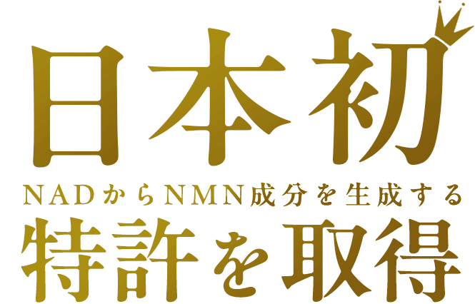 日本初NADからNMN成分を生成する特許を取得