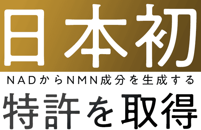 日本初NADからNMN成分を生成する特許を取得